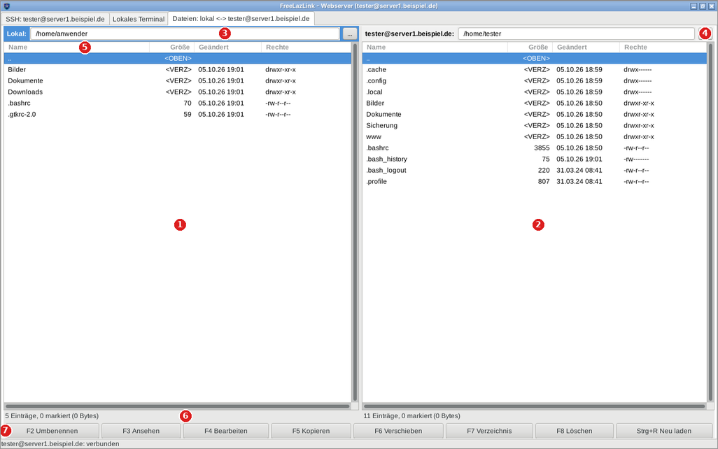 Zwei-Fenster-Dateiansicht: links Ihr Rechner, rechts der Server.