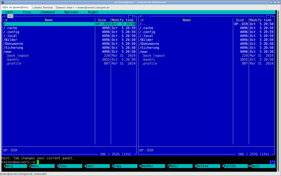Auch Vollbildprogramme wie der Midnight Commander laufen im Terminal.